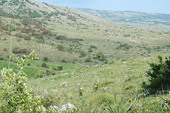 Valle di Carbonara