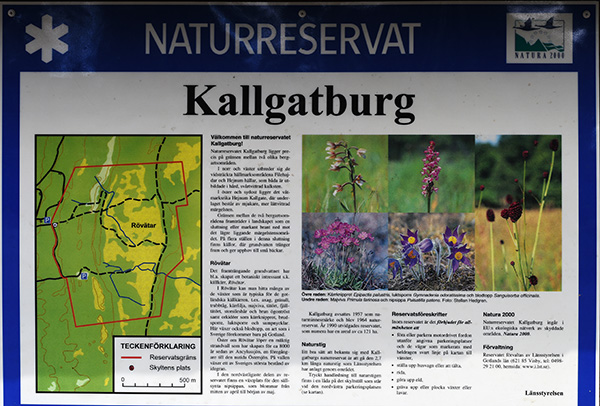 kallgatburg