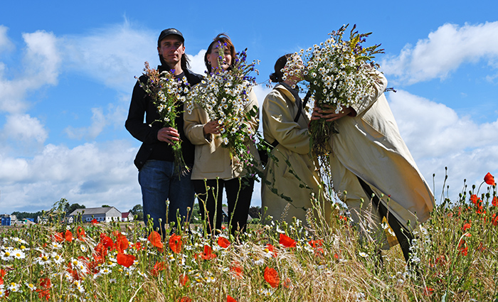 midsommar