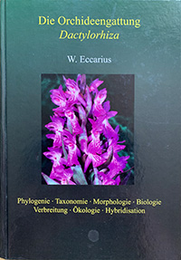 eccarius